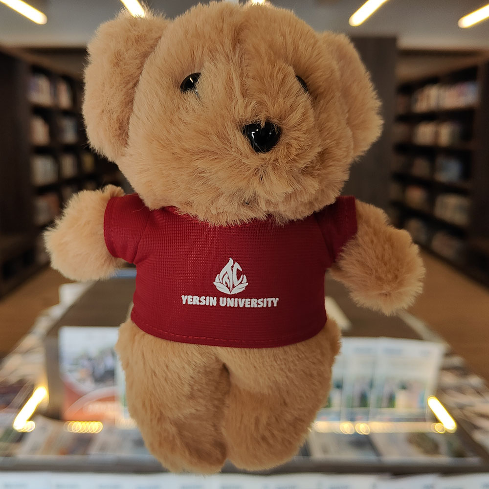 Móc khóa gấu YersinUni - YersinUni Shop