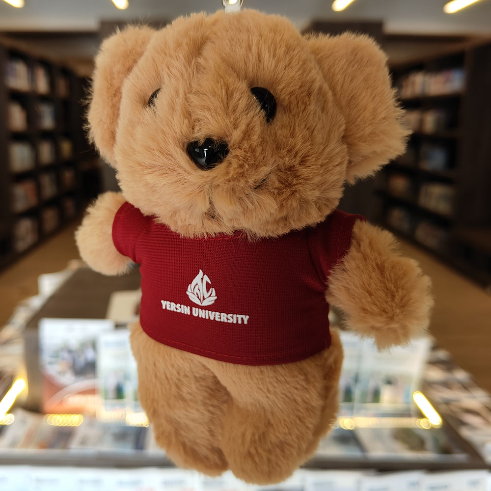 Móc khóa gấu YersinUni - YersinUni Shop