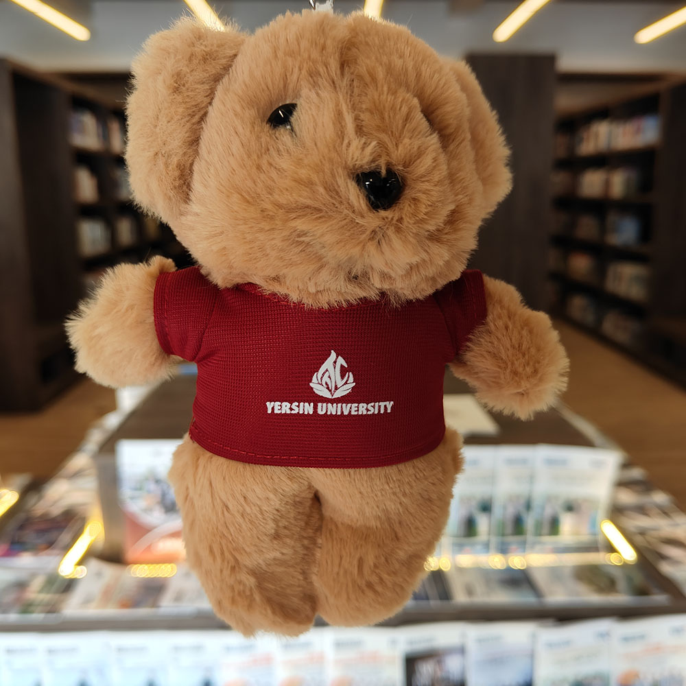 Móc khóa gấu YersinUni - YersinUni Shop