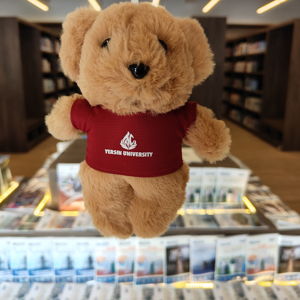 Móc khóa gấu YersinUni - YersinUni Shop