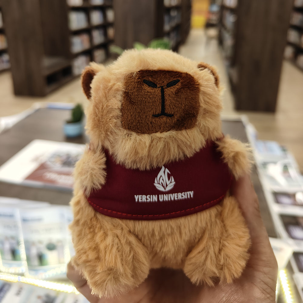 Móc khóa Capybara YersinUni - YersinUni Shop