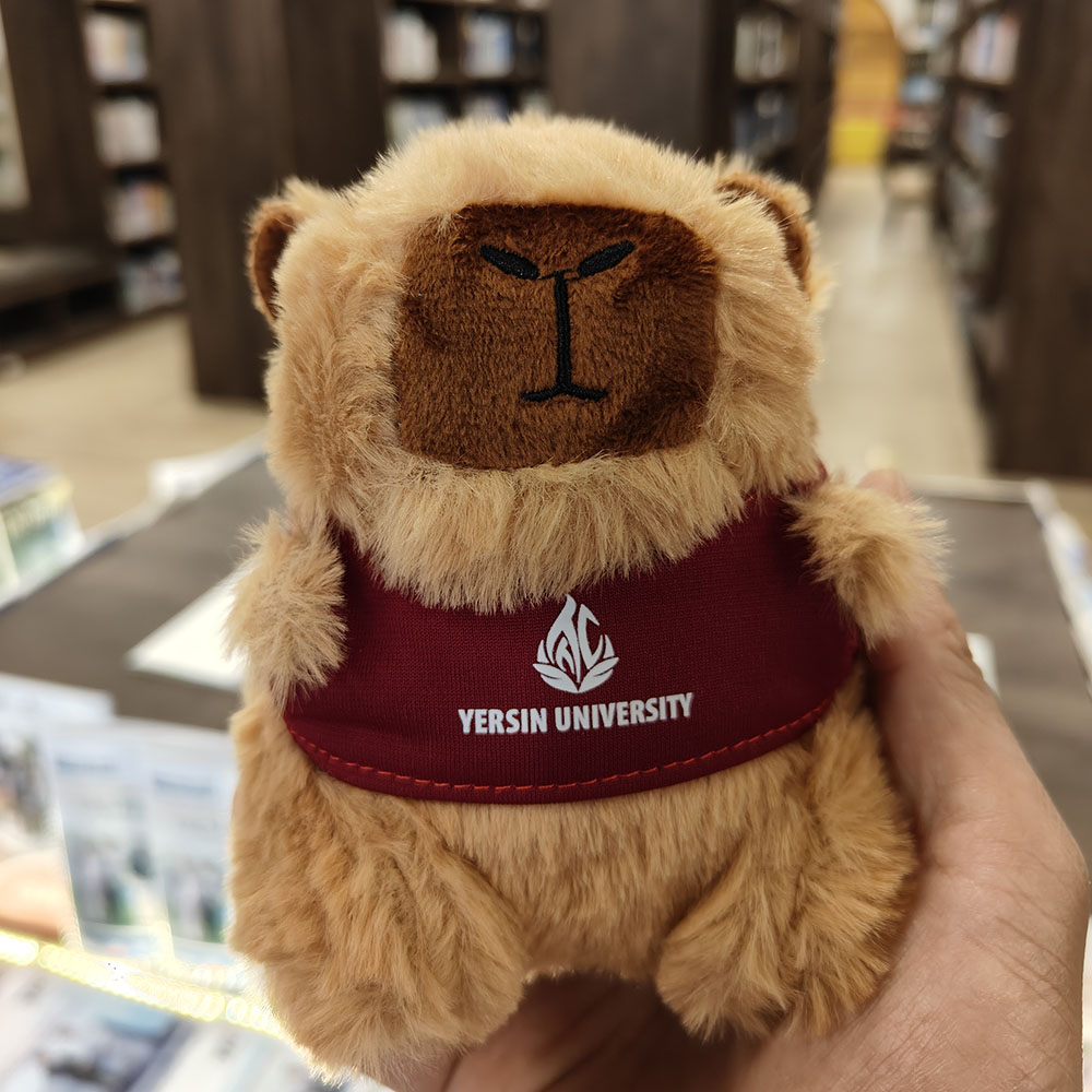 Móc khóa Capybara YersinUni - YersinUni Shop