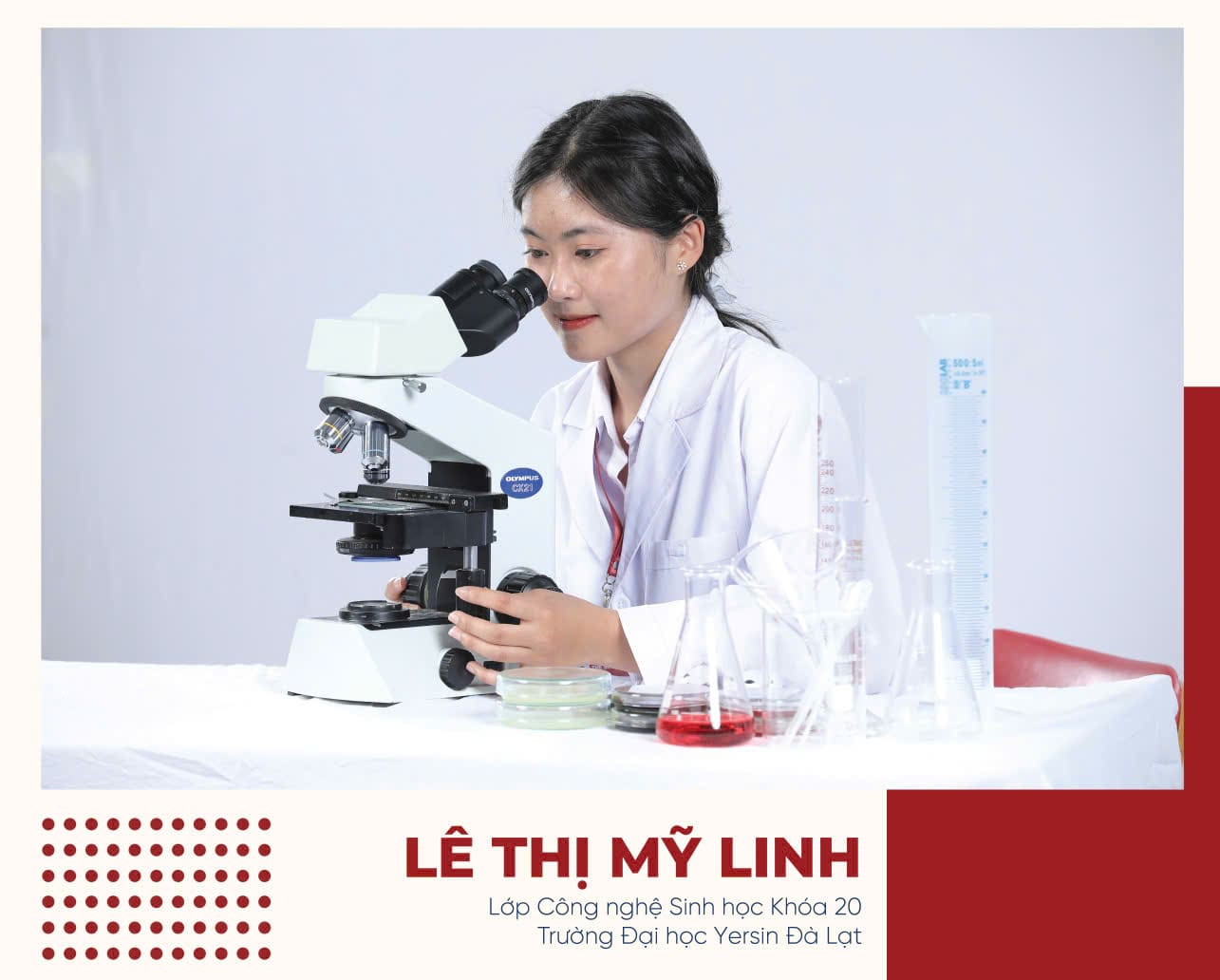 Tin tức - YersinUni Shop